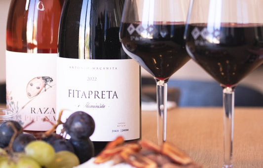 Beyond the Tiles: 7 Unique & Creative Things to Do in Lisbon for Adults